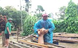 [ẢNH] Cuộc sống người dân Quảng Bình ảnh hưởng nặng nề do mưa lũ kéo dài